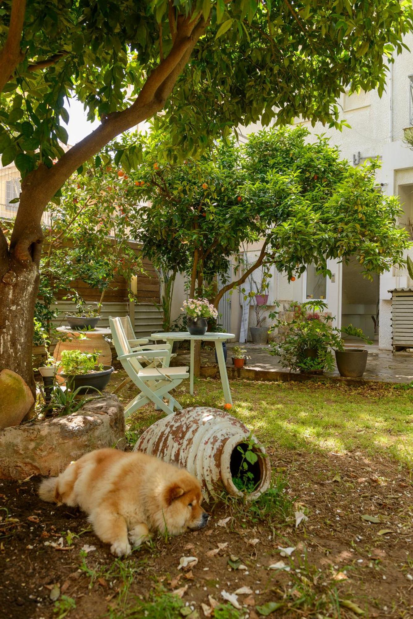 Agali 1 Superior Maisonette Καλαμάτα Εξωτερικό φωτογραφία
